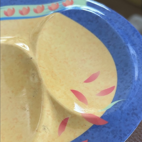Colorful Divided Plate - Picture 4 of 6